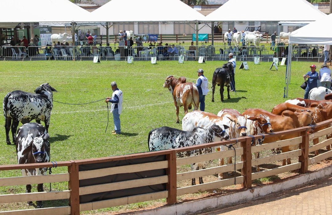 VAI COMEÇAR A 33ª EXPOABRA