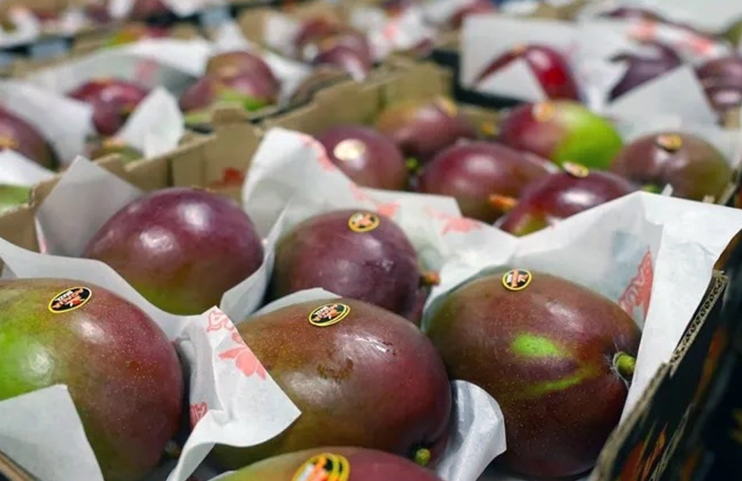 PREJUÍZO DO AGRO COM O TARIFAÇO