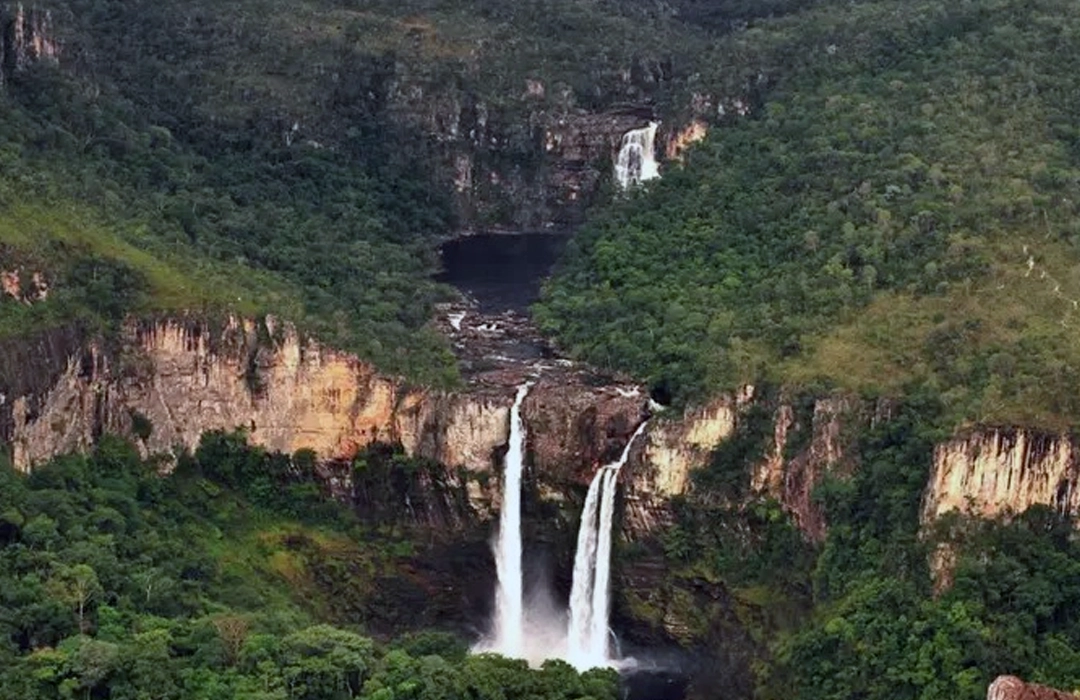 A VOZ DO CERRADO NA COP 30