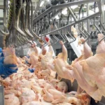 BRASIL AMPLIA MERCADOS BRASIL AMPLIA MERCADOS