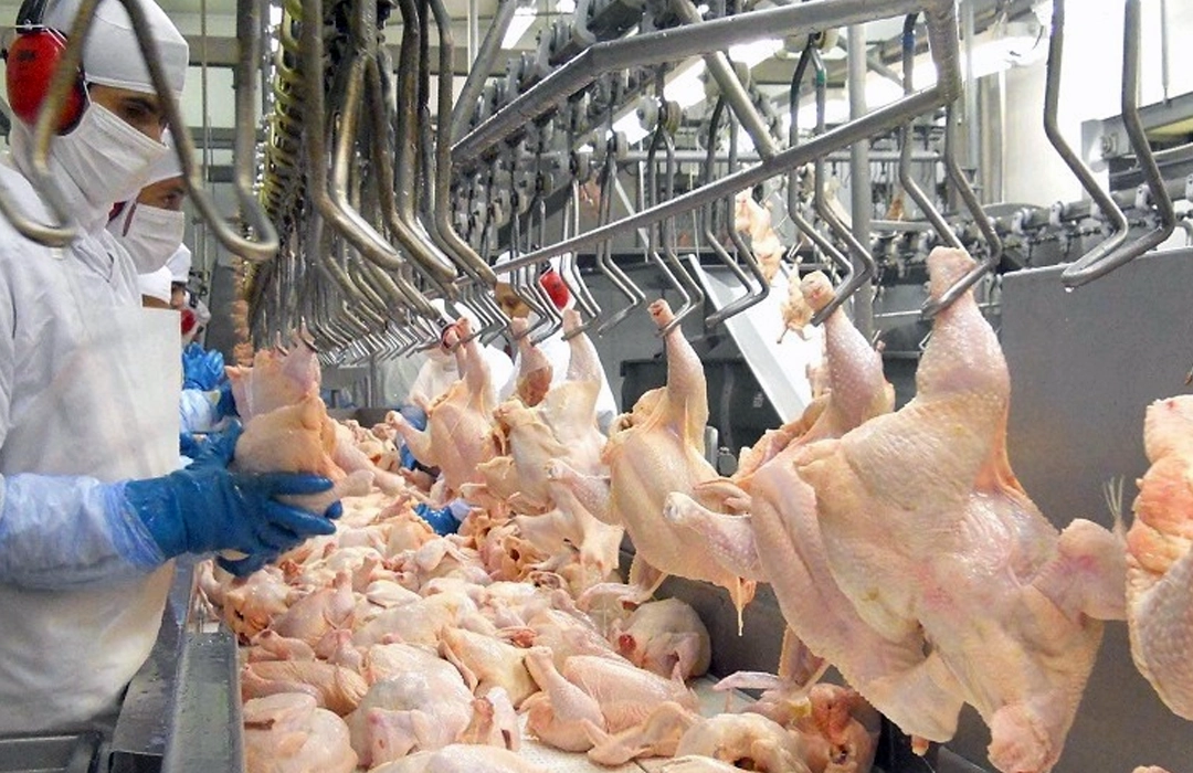 BRASIL AMPLIA MERCADOS