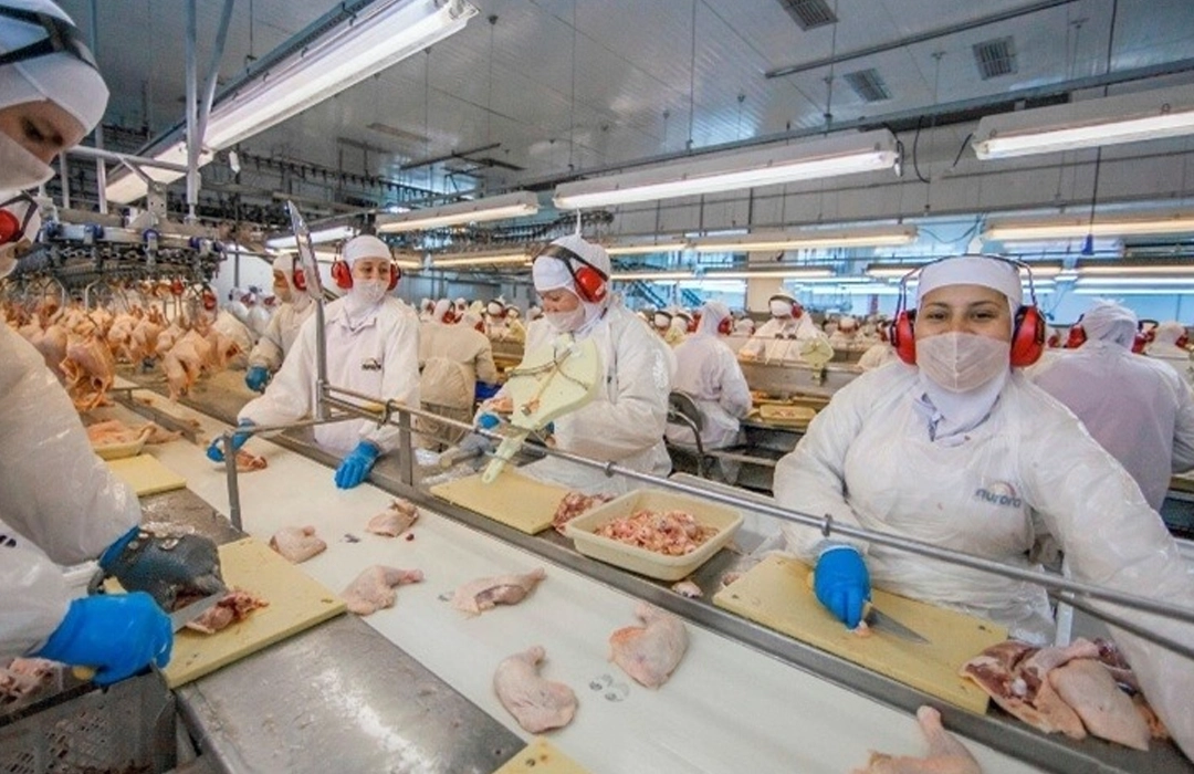 MALÁSIA REABRE MERCADO