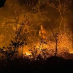 RAIOS LEVAM FOGO À CHAPADA RAIOS LEVAM FOGO À CHAPADA