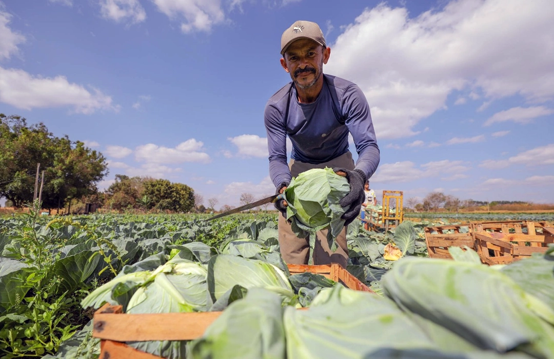 DIREITO À TERRA AVANÇA NO DF