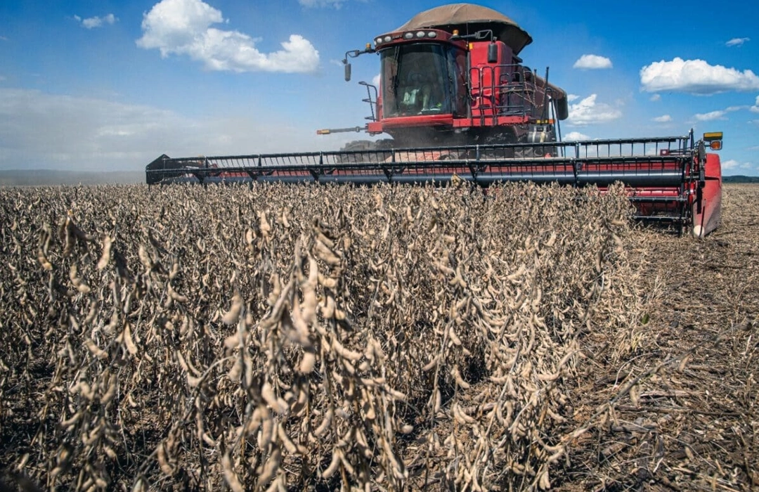 SOJA GOIANA BATE RECORDE