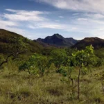 DESMATAMENTO EM QUEDA DESMATAMENTO EM QUEDA