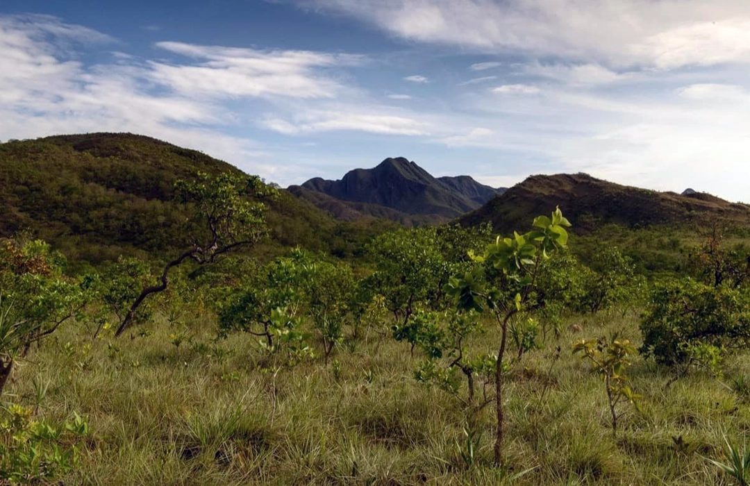 DESMATAMENTO EM QUEDA