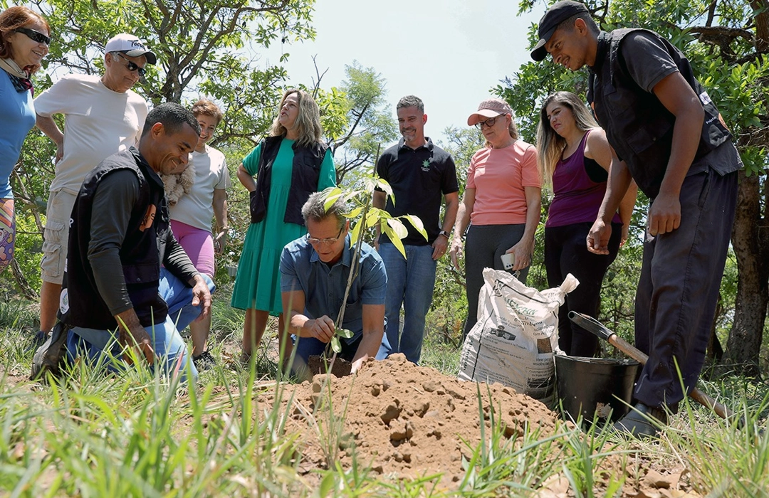 DISQUE-CERRADO COMEÇA PELO TORORÓ