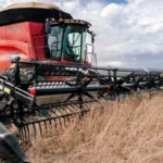 PIB DO TOCANTINS EM ALTA PIB DO TOCANTINS EM ALTA