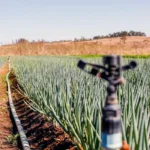 CRÉDITO IMPULSIONA AGRO DO DF