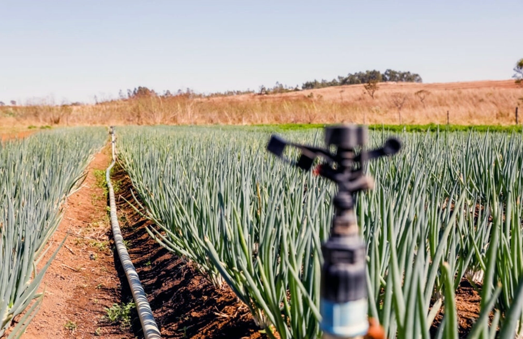CRÉDITO IMPULSIONA AGRO DO DF