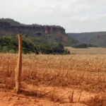 A LUTA POR TERRAS NO CERRADO