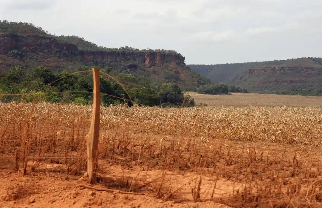 A LUTA POR TERRAS NO CERRADO