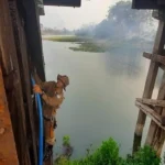 FOGO NO PANTANAL É CONTROLADO