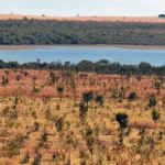 DF QUER TOMBAR O CERRADO DF QUER TOMBAR O CERRADO