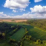 CÓDIGO FLORESTAL NA COP 30 CÓDIGO FLORESTAL NA COP 30