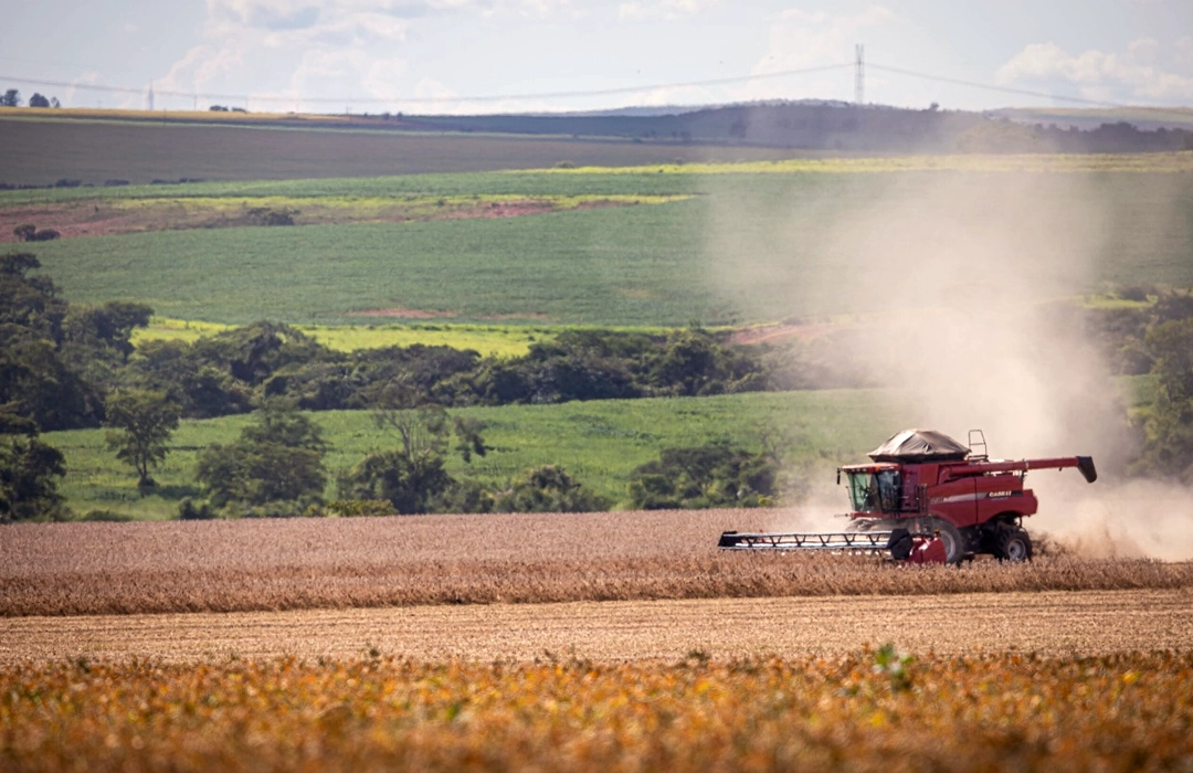 AGRO DO DF EXPORTA MAIS