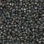 BRASIL ABRE NOVOS MERCADOS