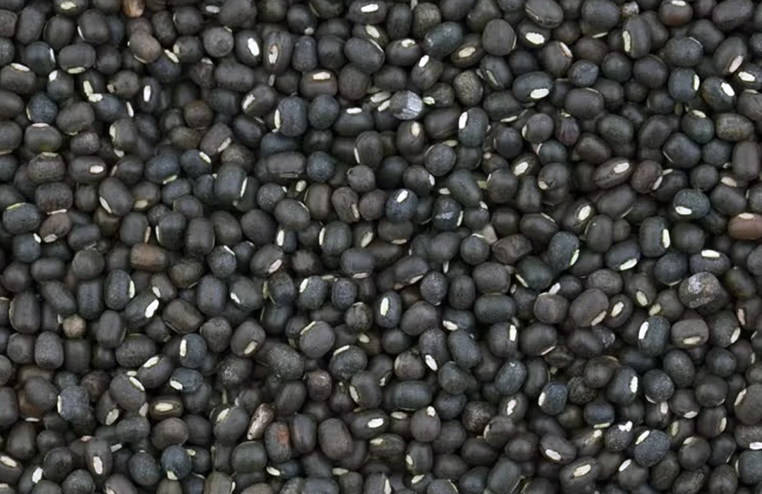 BRASIL ABRE NOVOS MERCADOS