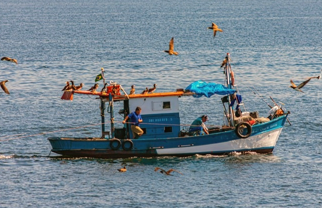 PESCADORES PERDEM LICENÇA