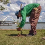 VEM AÍ O RECUPERA CERRADO II VEM AÍ O RECUPERA CERRADO II