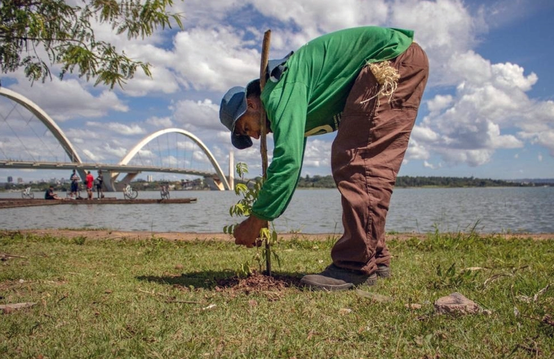 VEM AÍ O RECUPERA CERRADO II