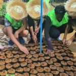 DF GANHA 15 MIL ÁRVORES DF GANHA 15 MIL ÁRVORES