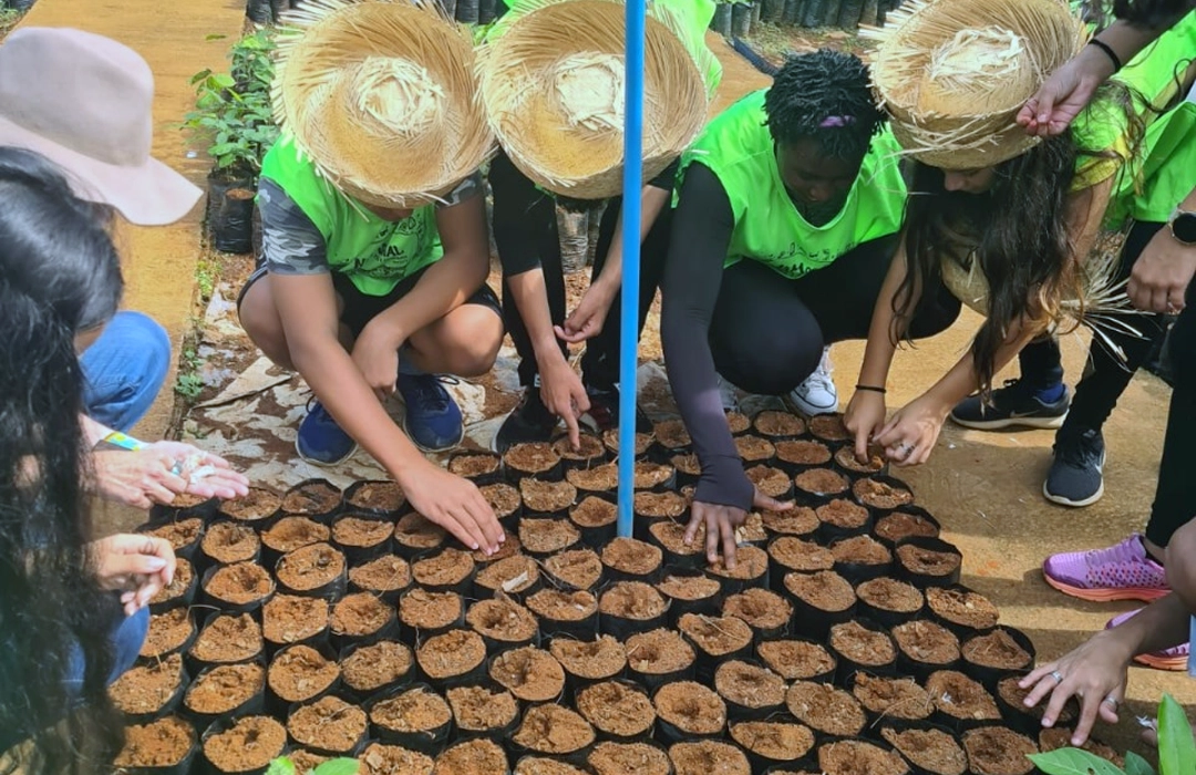 DF GANHA 15 MIL ÁRVORES