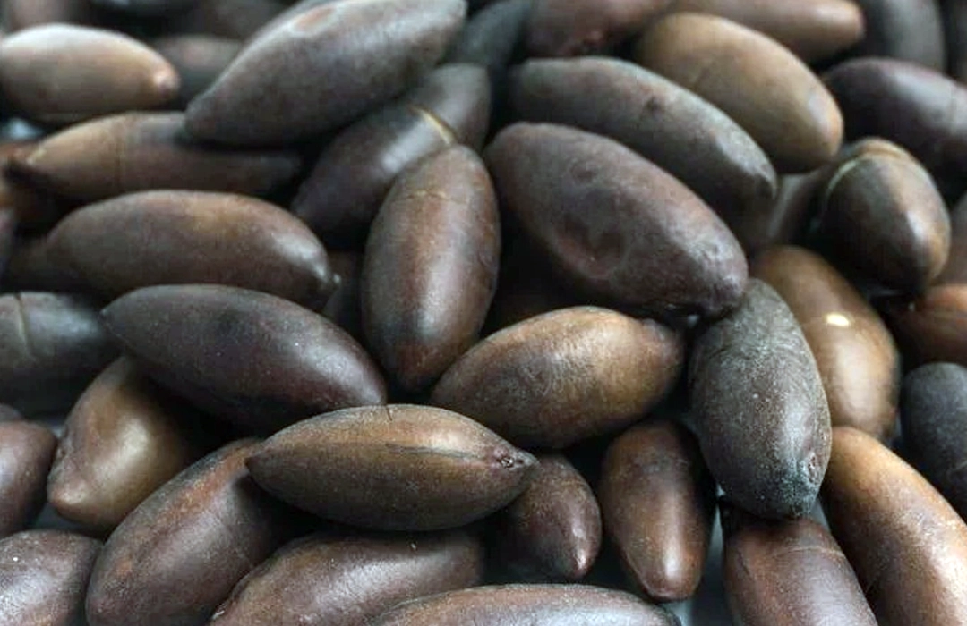 BRASIL AVANÇA NA ÁSIA