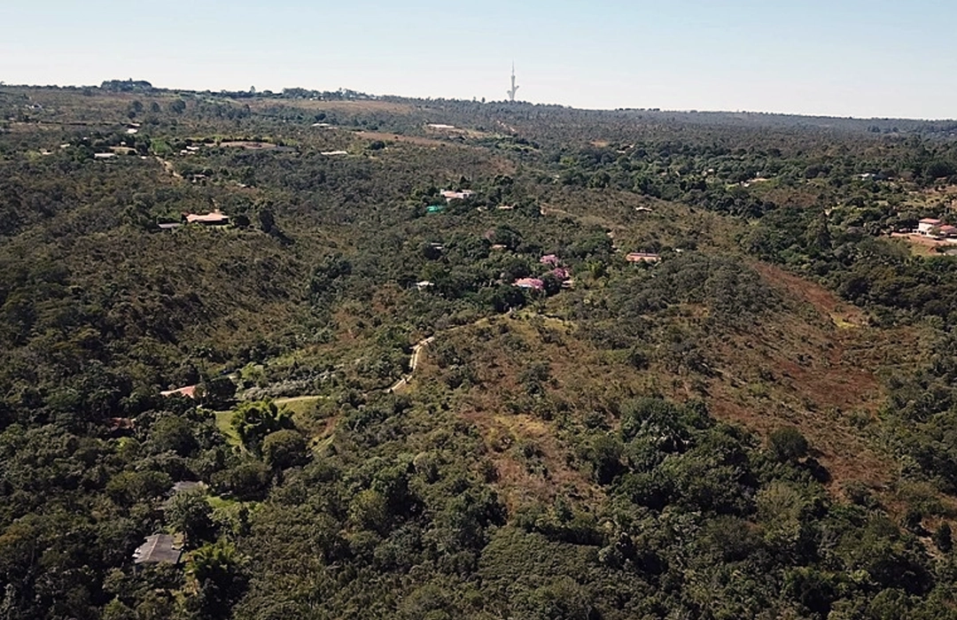 SERRINHA SERÁ REFLORESTADA