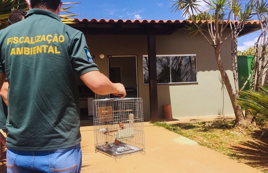 FISCALIZAÇÃO GANHA FORÇA NO DF