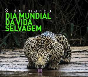 anuncio dia mundiaom vida selvagem