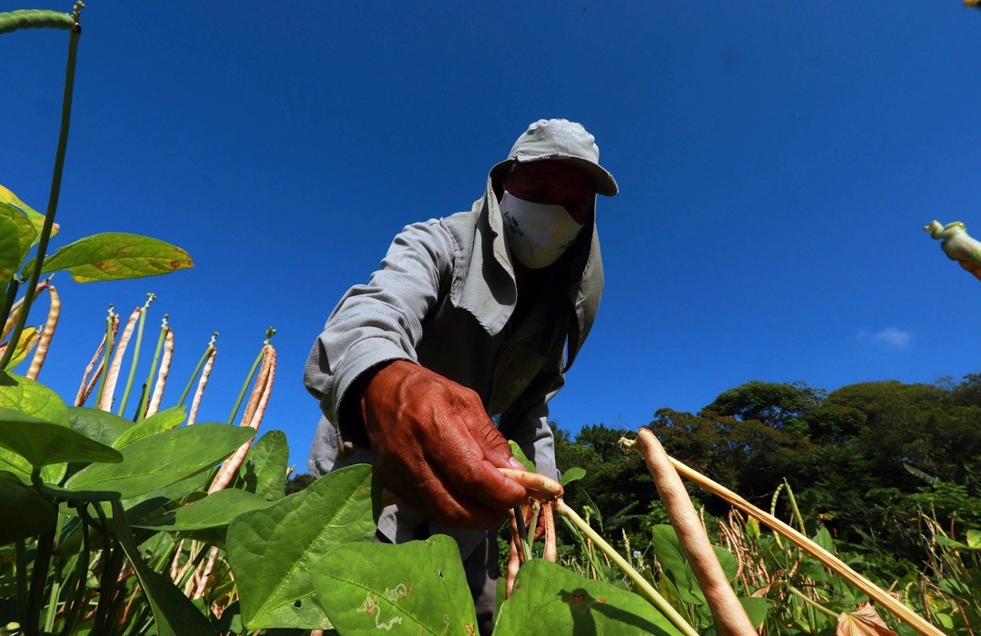 MAIS EMPREGOS RURAIS EM GOIÁS