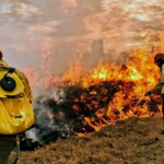 IBRAM TREINA 150 BRIGADISTAS