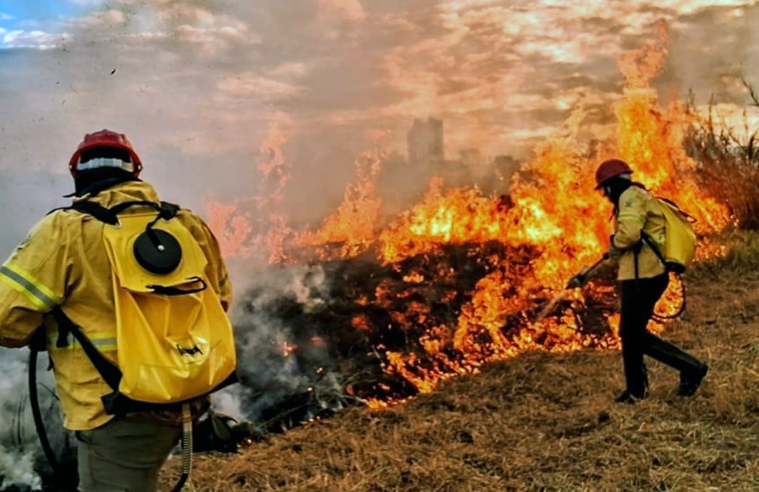 IBRAM TREINA 150 BRIGADISTAS