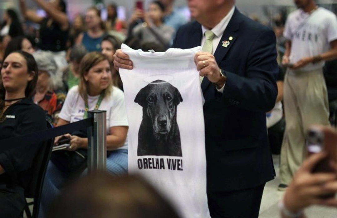 MALTRATAR ANIMAIS SAI CARO