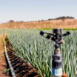 R$ 65 MILHÕES PARA O AGRO DO DF