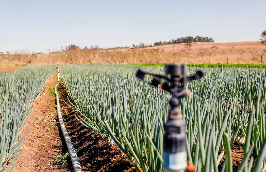 R$ 65 MILHÕES PARA O AGRO DO DF