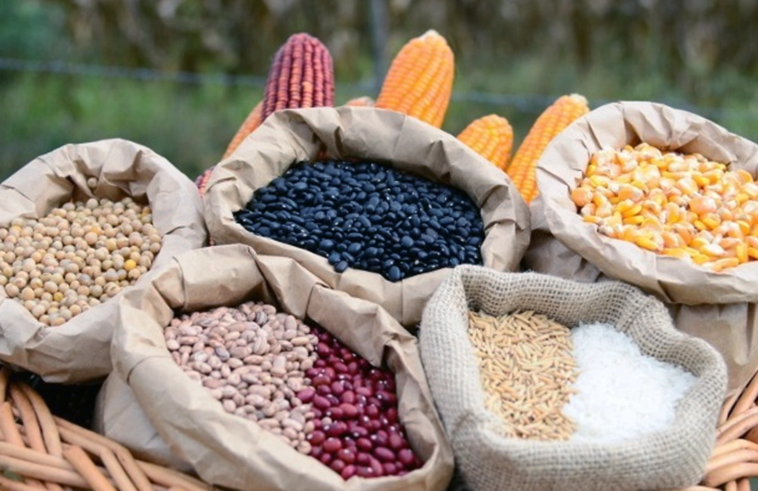 NOVO RECORDE DE GRÃOS