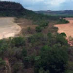 CAI DESMATAMENTO NO BRASIL