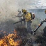 DF INICIA COMBATE ÀS QUEIMADAS