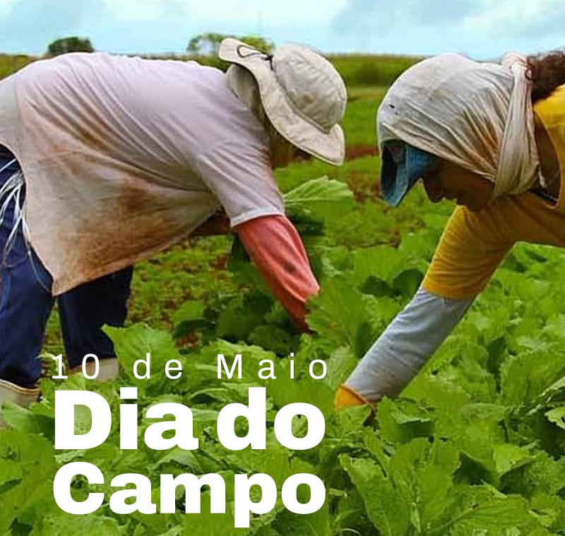 anuncio dia da silvicultura