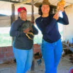 GRANJA VOA COM MICROCRÉDITO