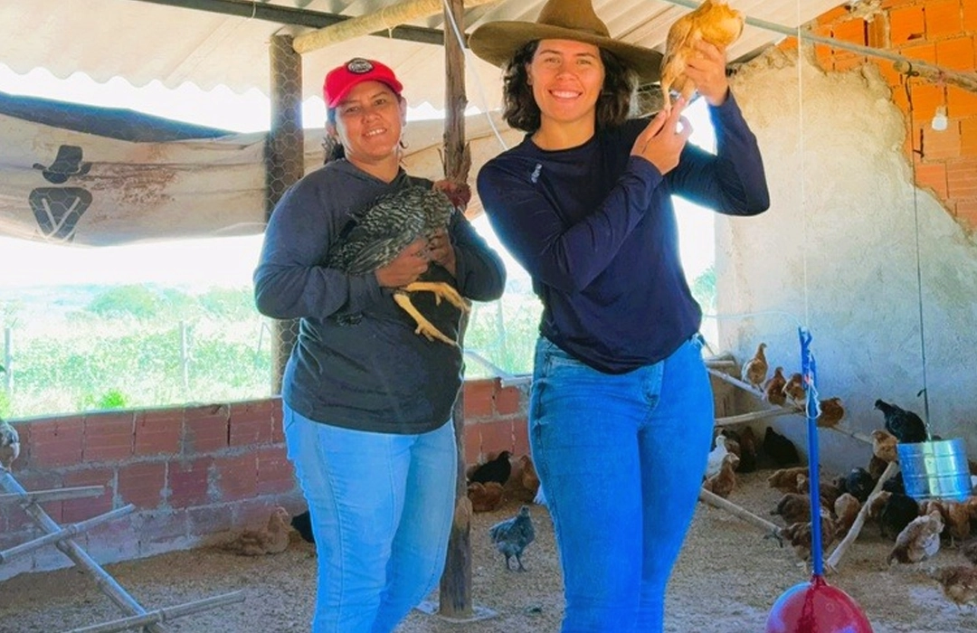 GRANJA VOA COM MICROCRÉDITO