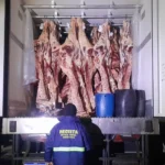 MERCADORIA PIRATA APREENDIDA