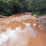 GDF VAI RECUPERAR MELCHIOR