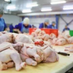 AGRO DO DF MOVIMENTA R$ 5,8 BI EM 2025