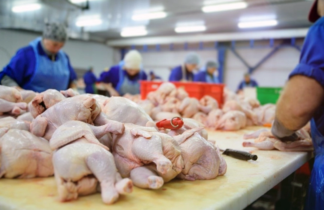 AGRO DO DF MOVIMENTA R$ 5,8 BI EM 2025