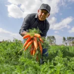 CRÉDITO MOVE O AGRO FAMILIAR