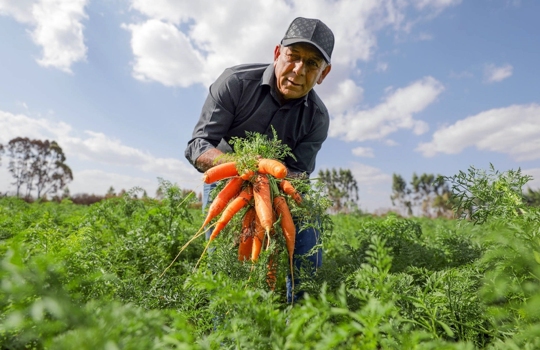 CRÉDITO MOVE O AGRO FAMILIAR